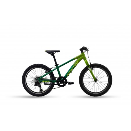 Bicicleta 2025 infantil monty